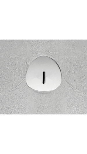 <b>Drain Cover</b> | Orion Shower Bases